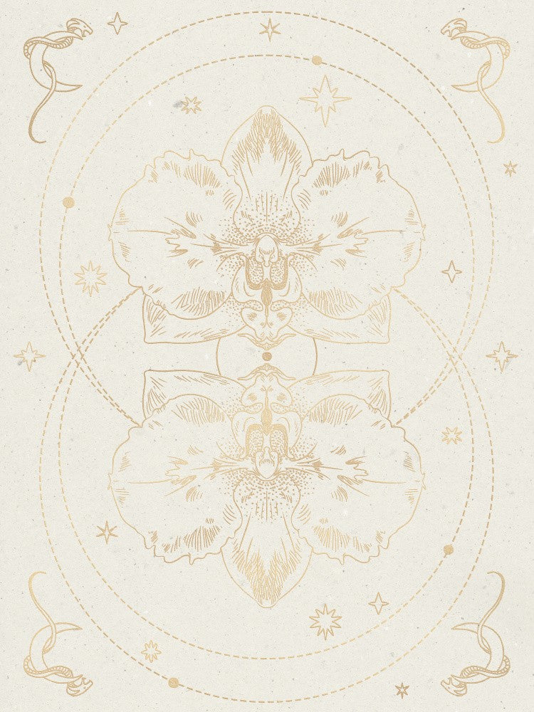 The mystical orchid