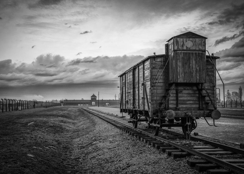 Auschwitz: Bearing Witness to the Holocaust