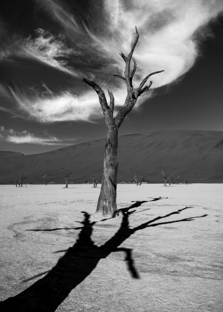 Deadvlei
