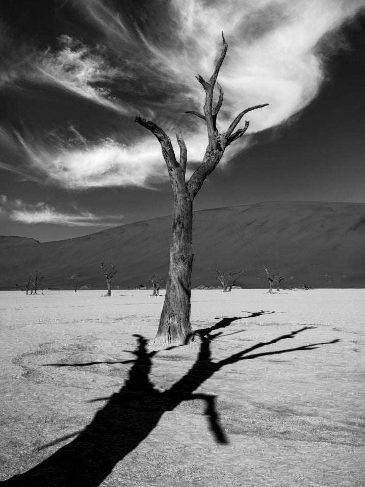 Deadvlei