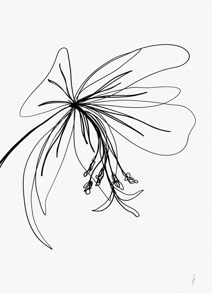 Elegant Blossoms