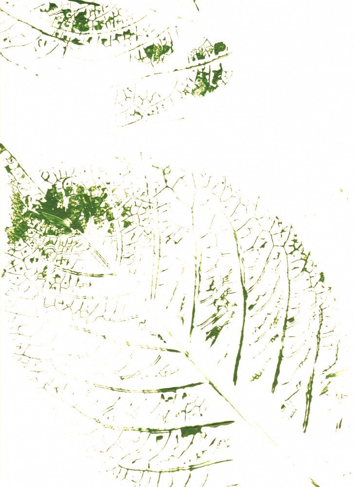 Fractals 8