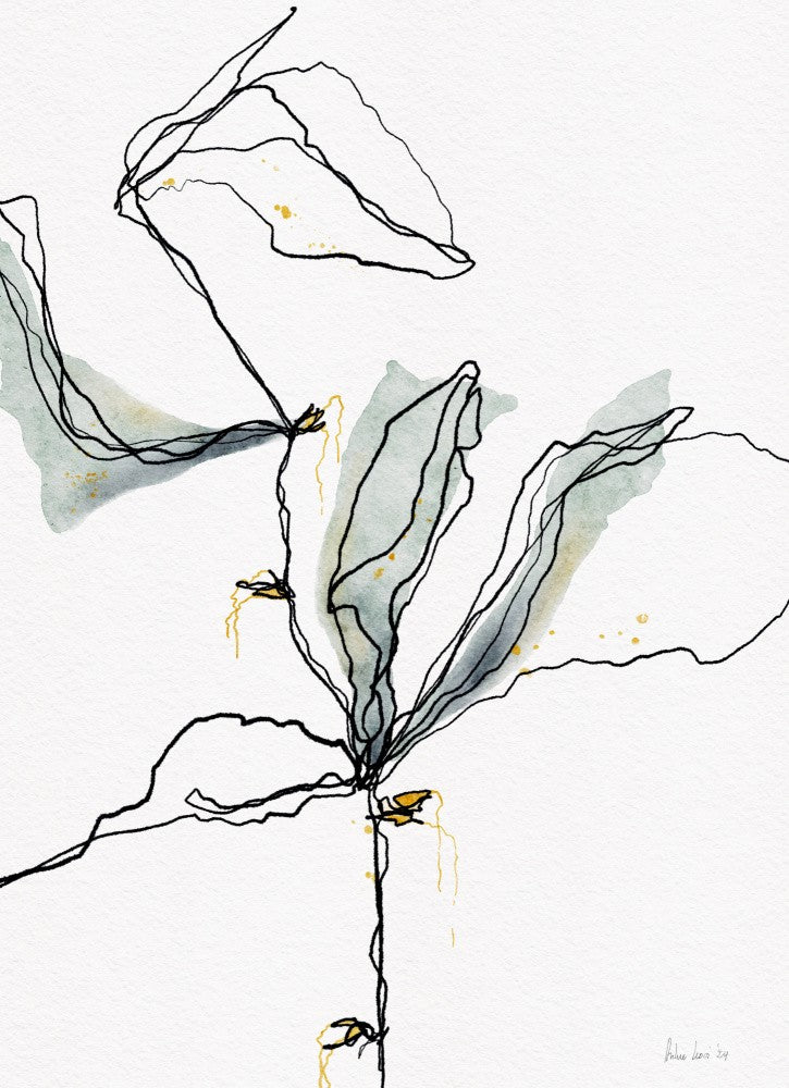 Graceful Linescape