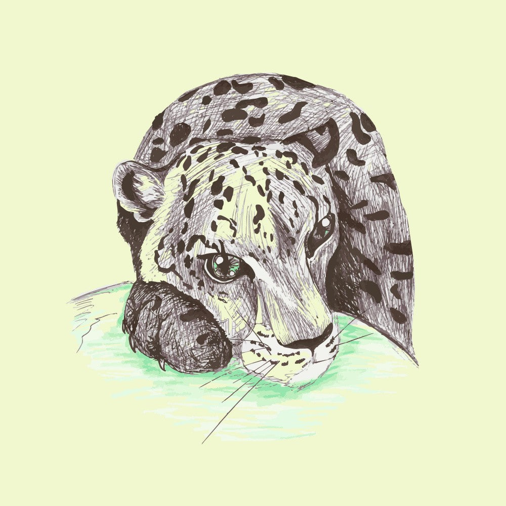 Leopard's Quiet Gaze