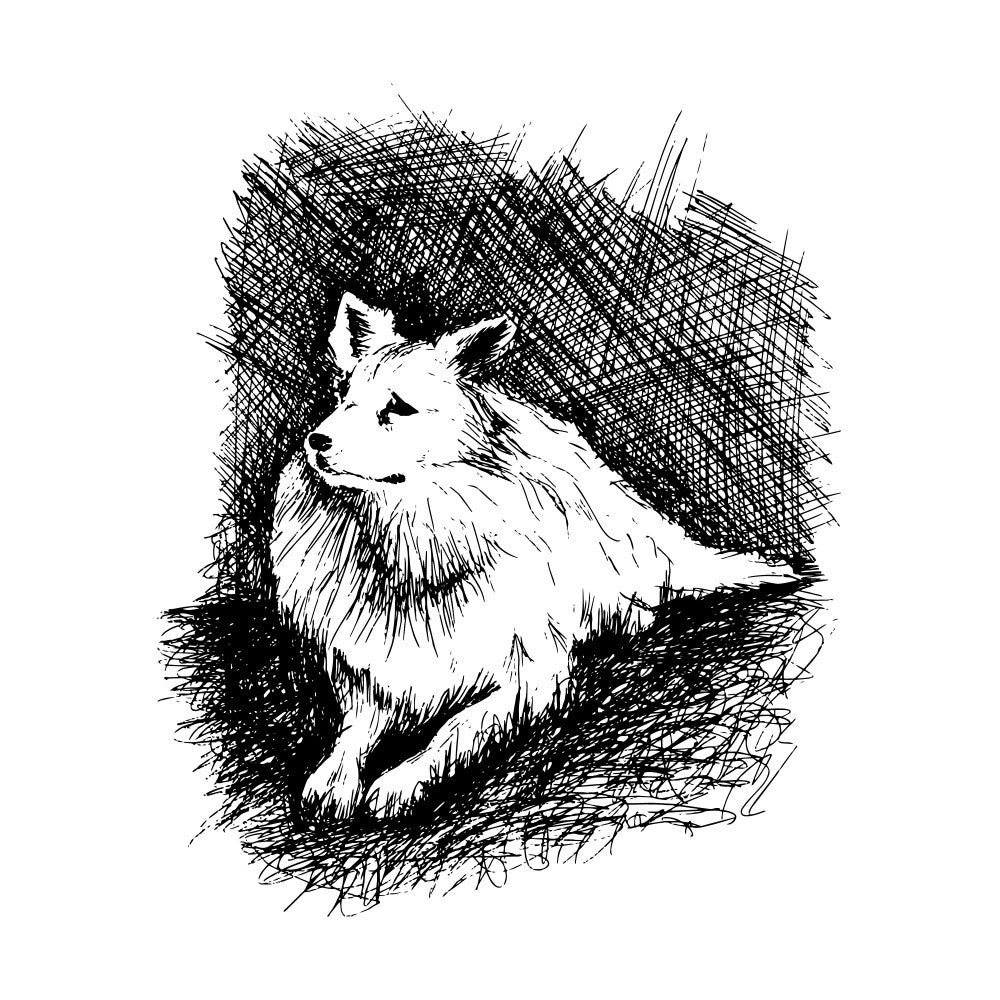 Dog Sketch