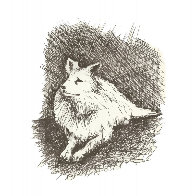 Pensive Canine Sketch