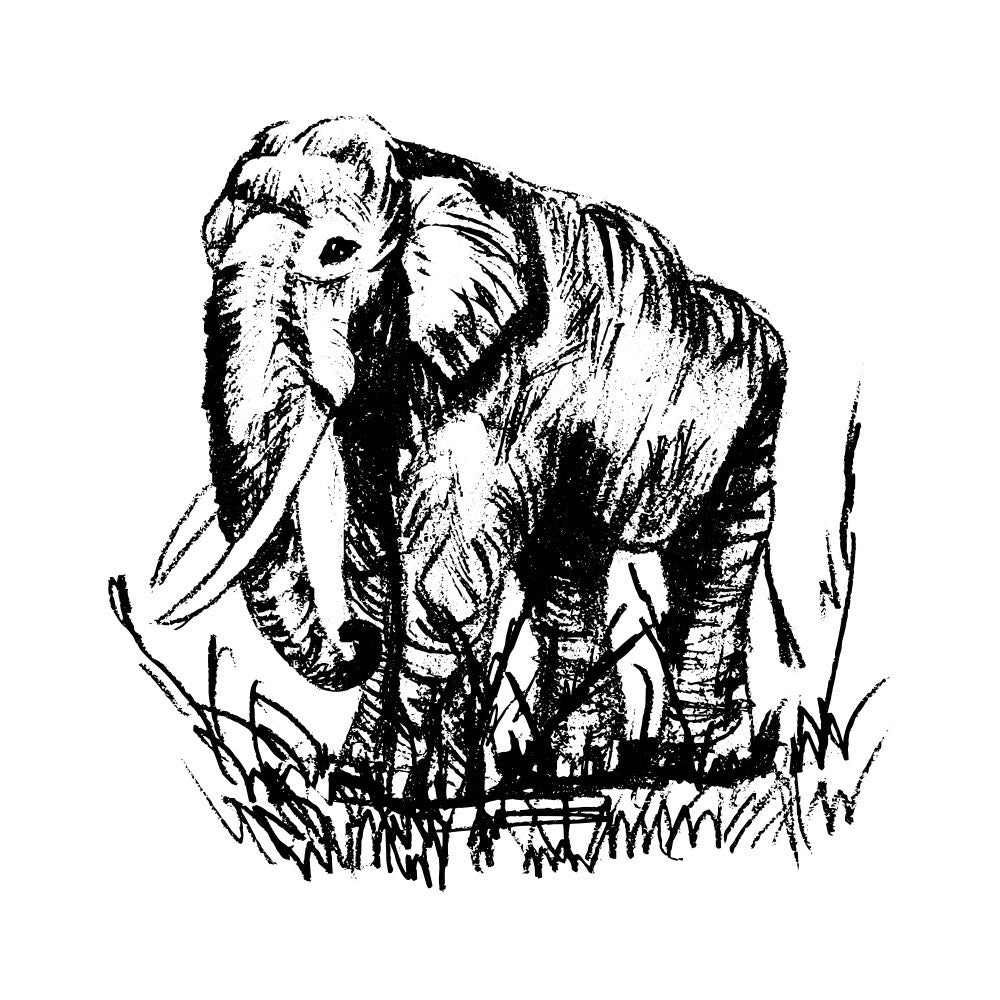Elephant in Ink