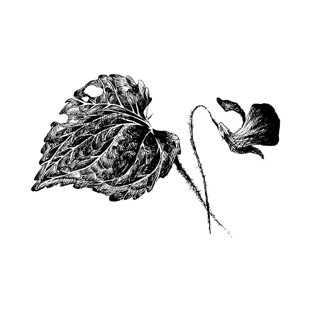 Intricate Bloom