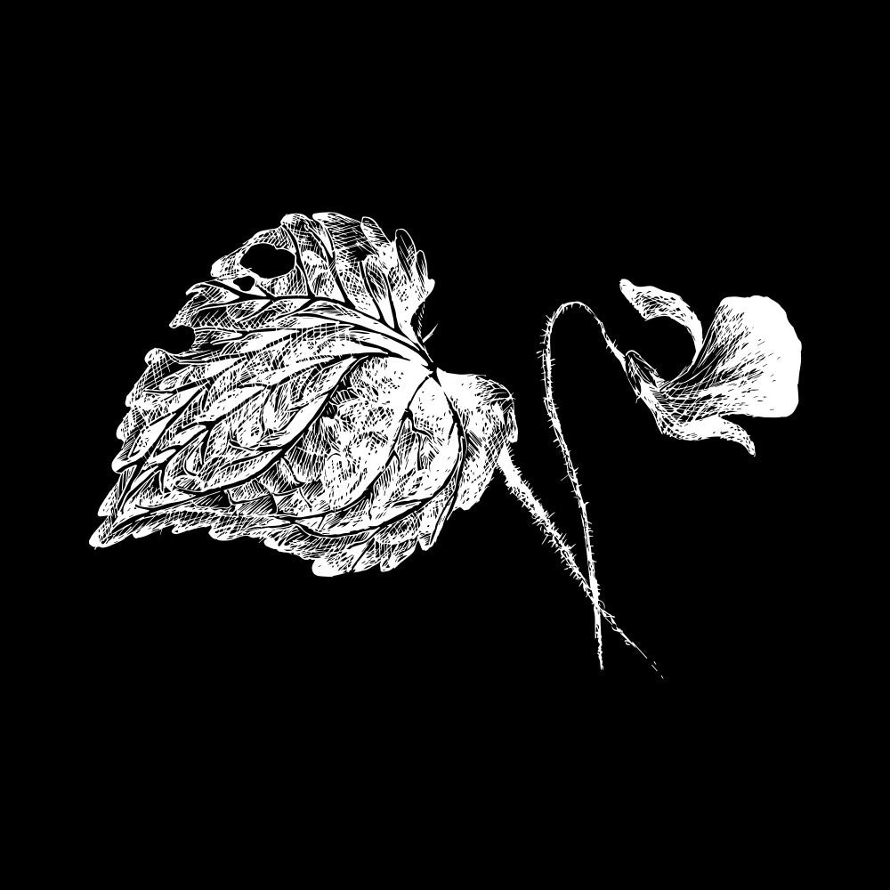 Floral Imprint