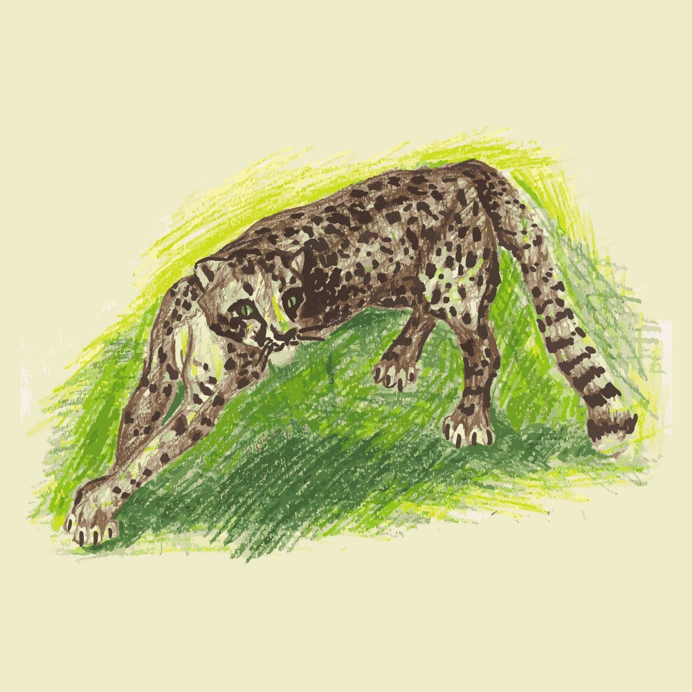 Leopard's Grace
