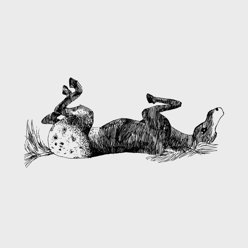 Upside Down Horse