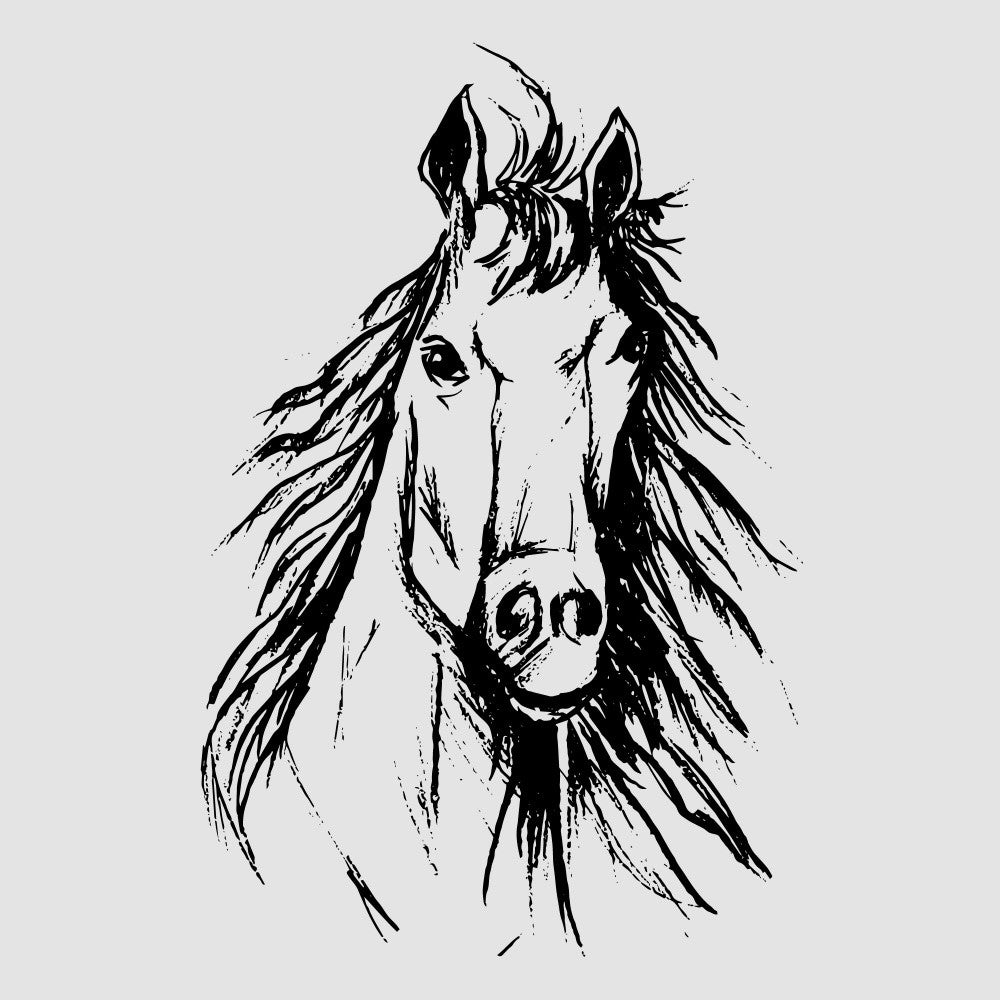 Dynamic Black And White Horse