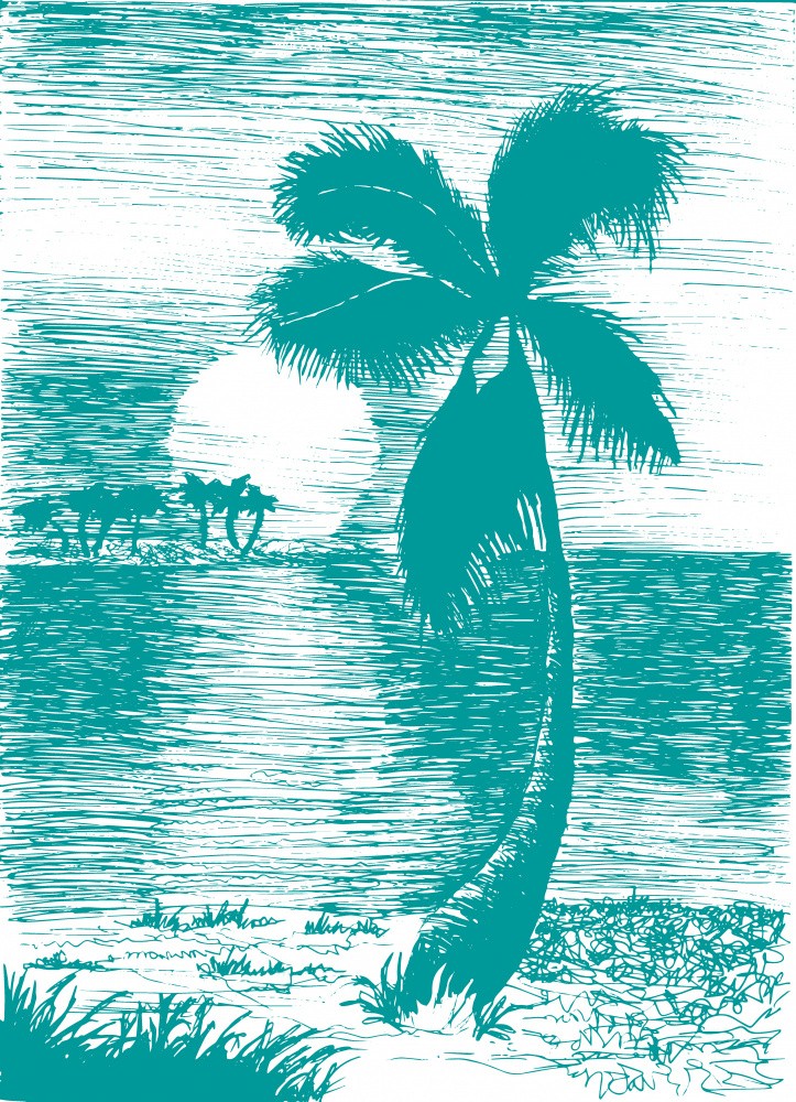 Palm Trees