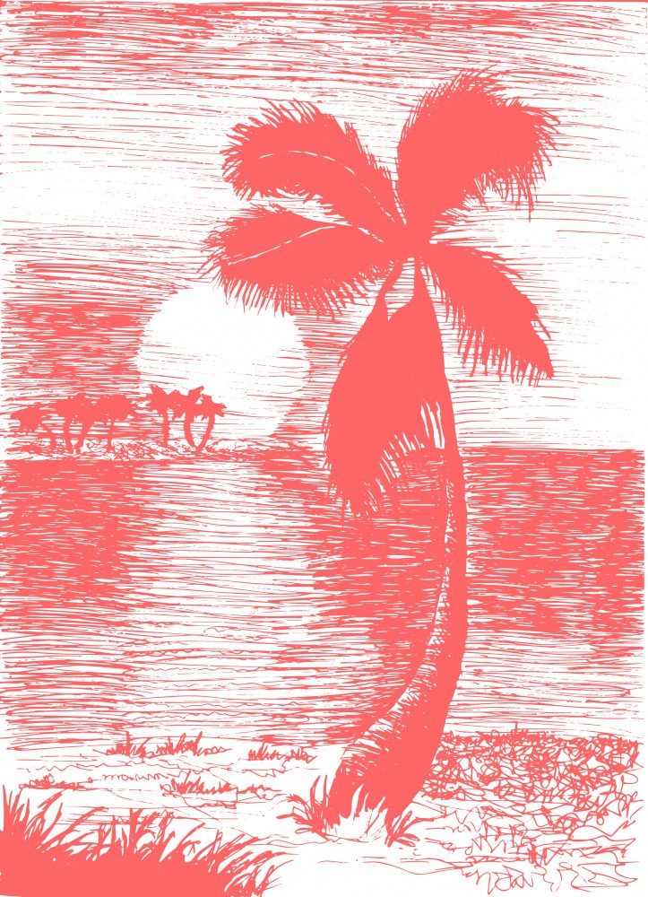 Tropical Sunburst