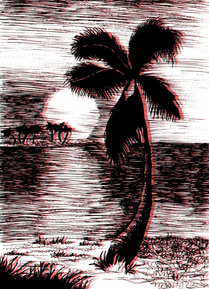 Palm in Sunset Glow