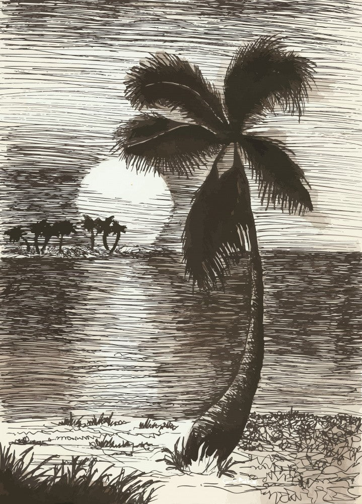 Palm in Sunset Glow