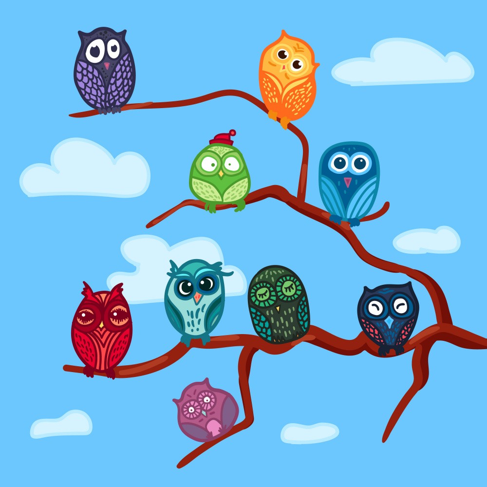 Cartoon Owl Art