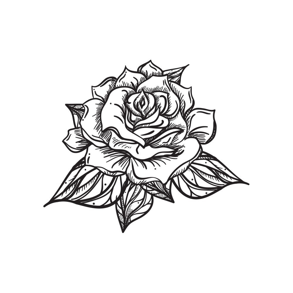 Elegant Rose with Petals