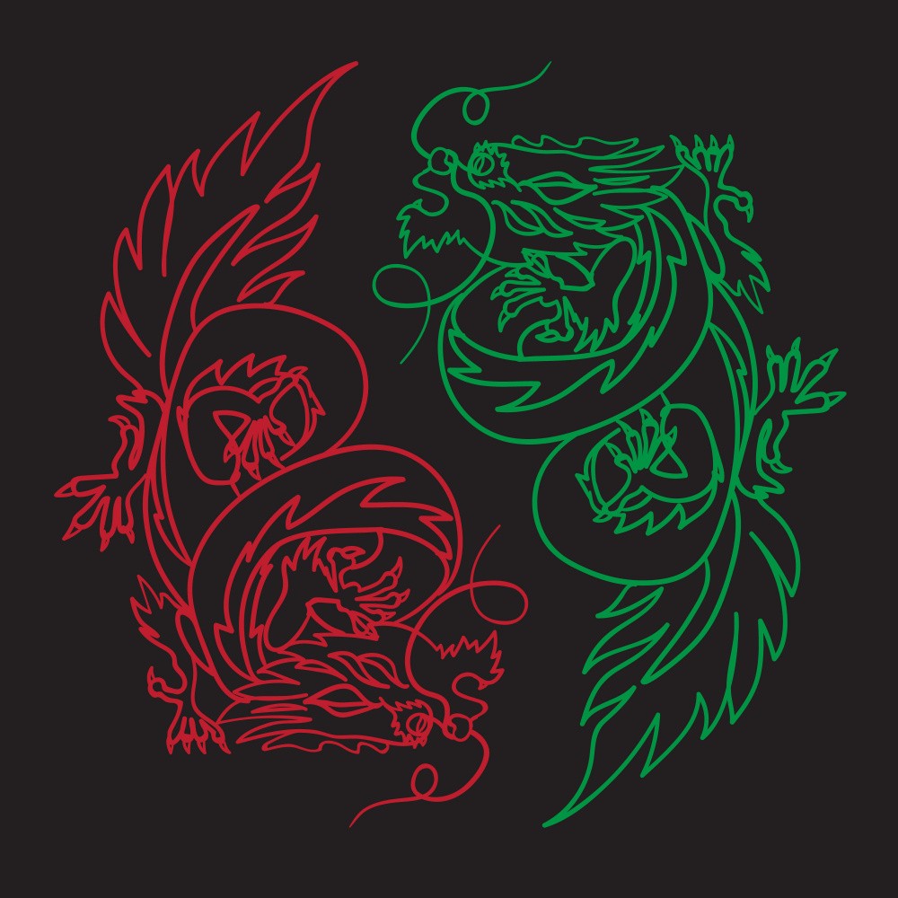 Flying Dragons Art