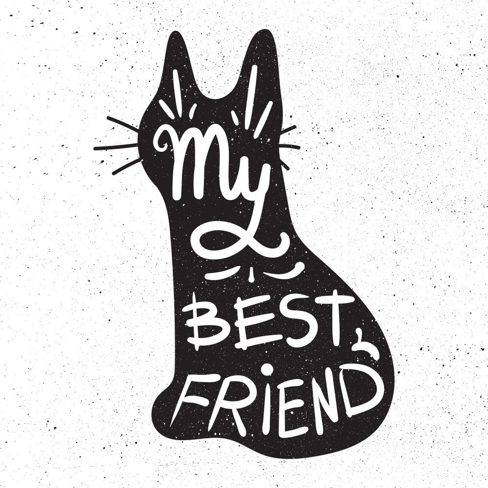 Inspiration Lettering Art