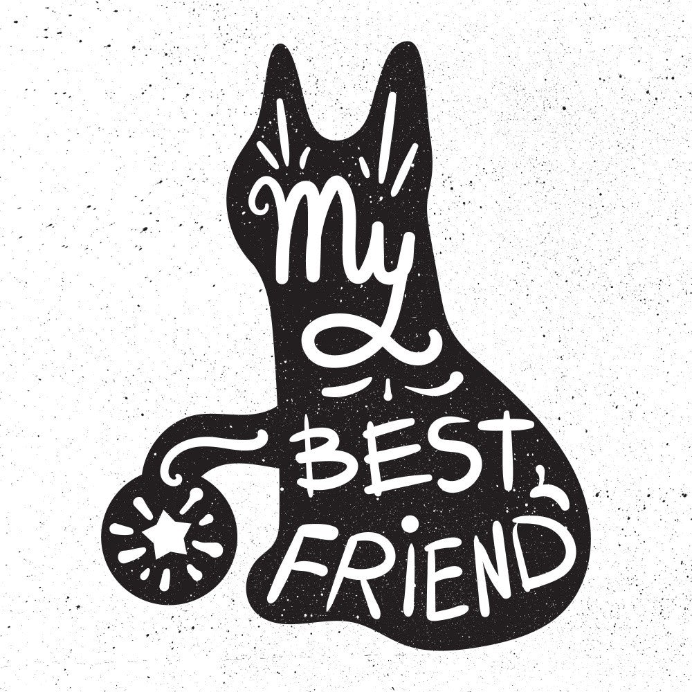 Inspiration Lettering Art
