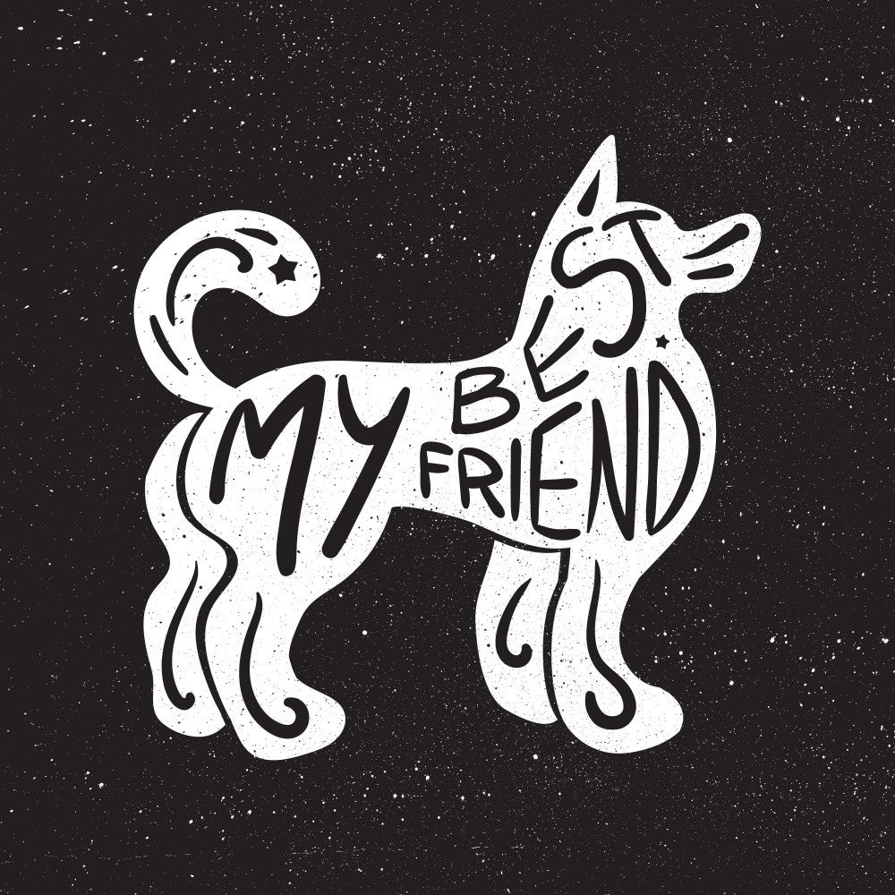 Canine Companionship