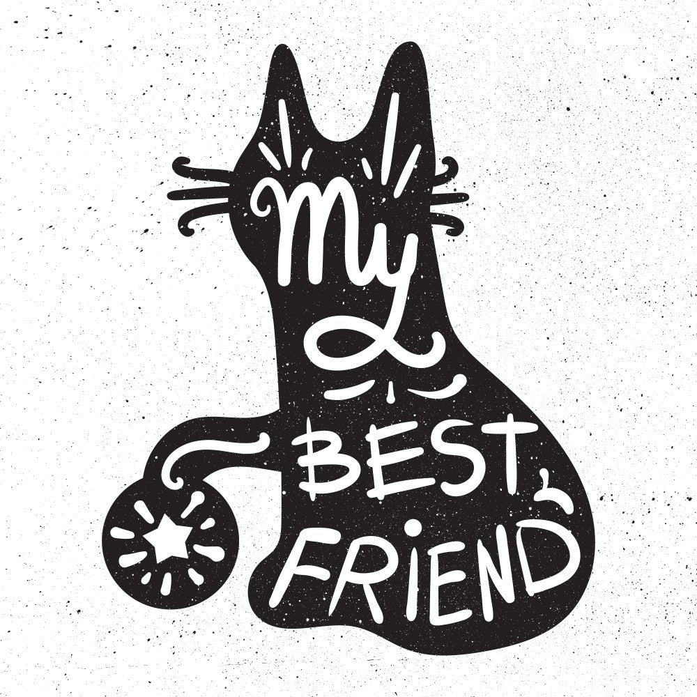 My Bestfriend Cat