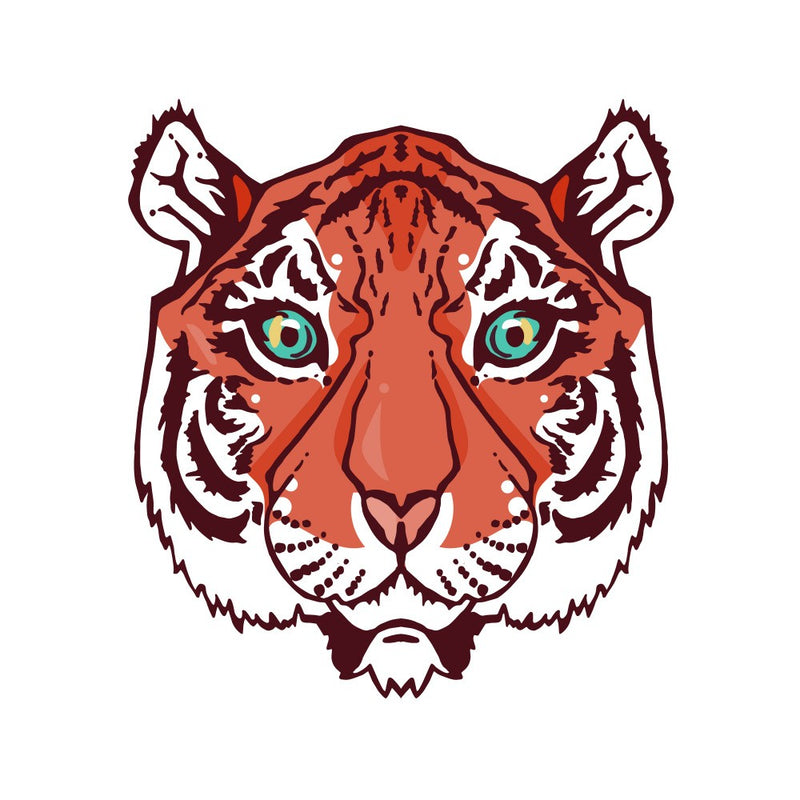Wild Animal Cartoon Art
