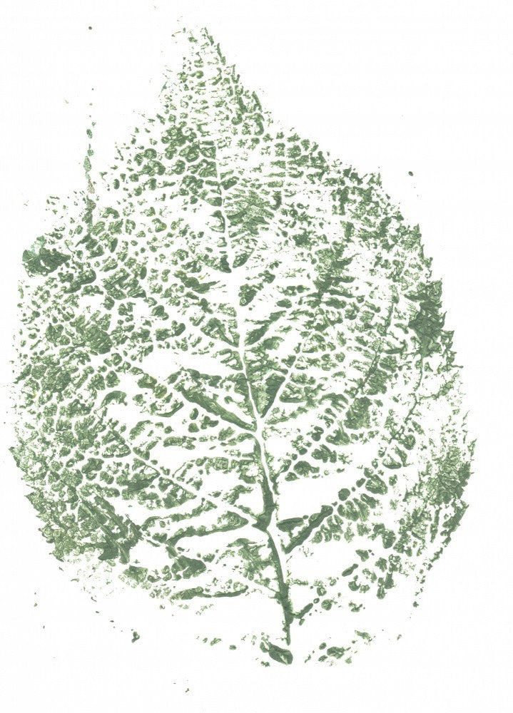 Fractals 6