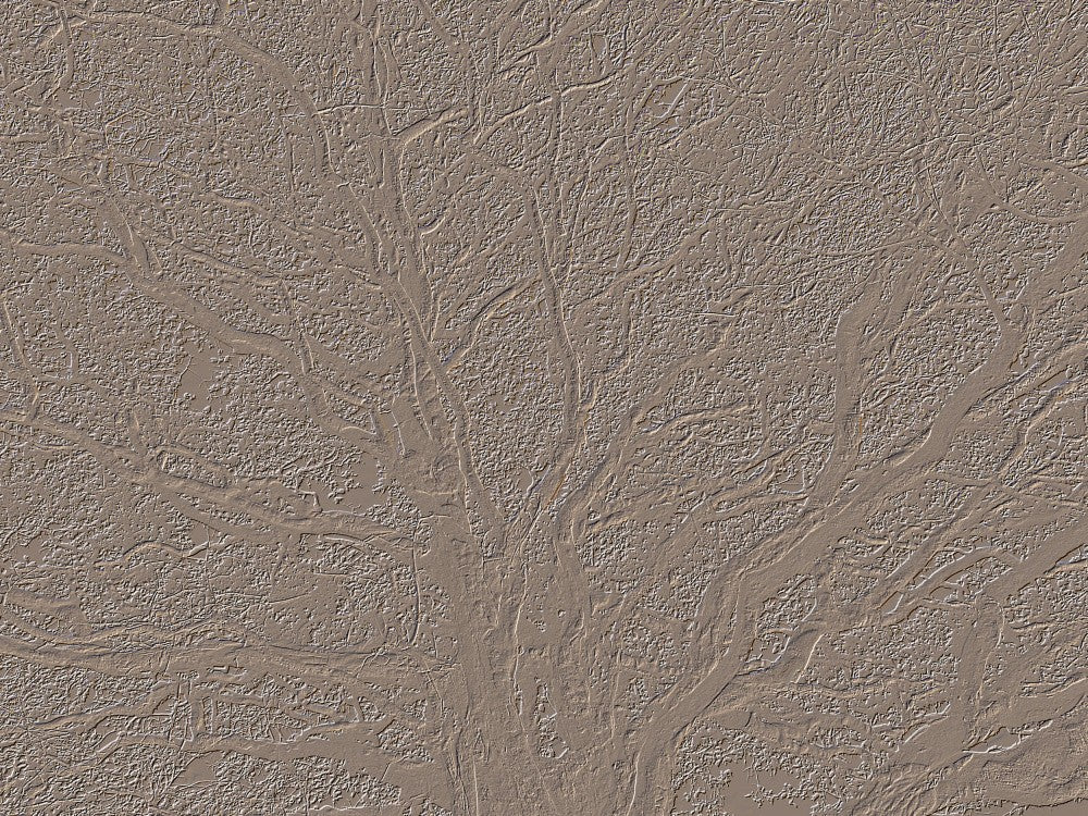 Earthy Tree Veins