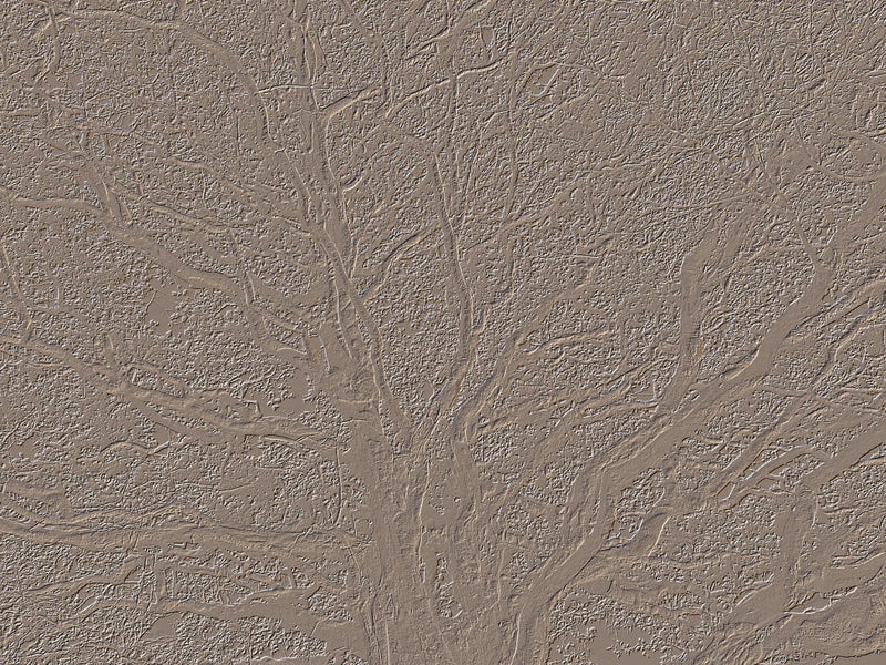 Earthy Tree Veins