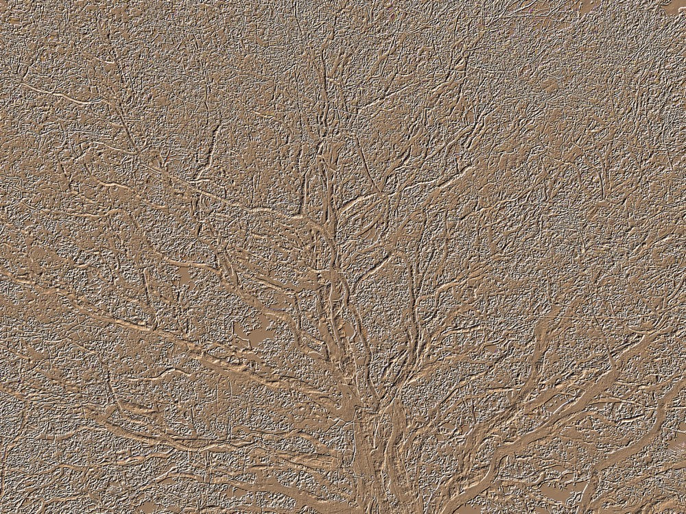 Earthly Branches