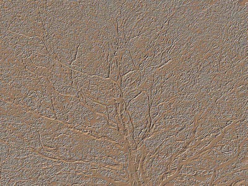Earthly Branches