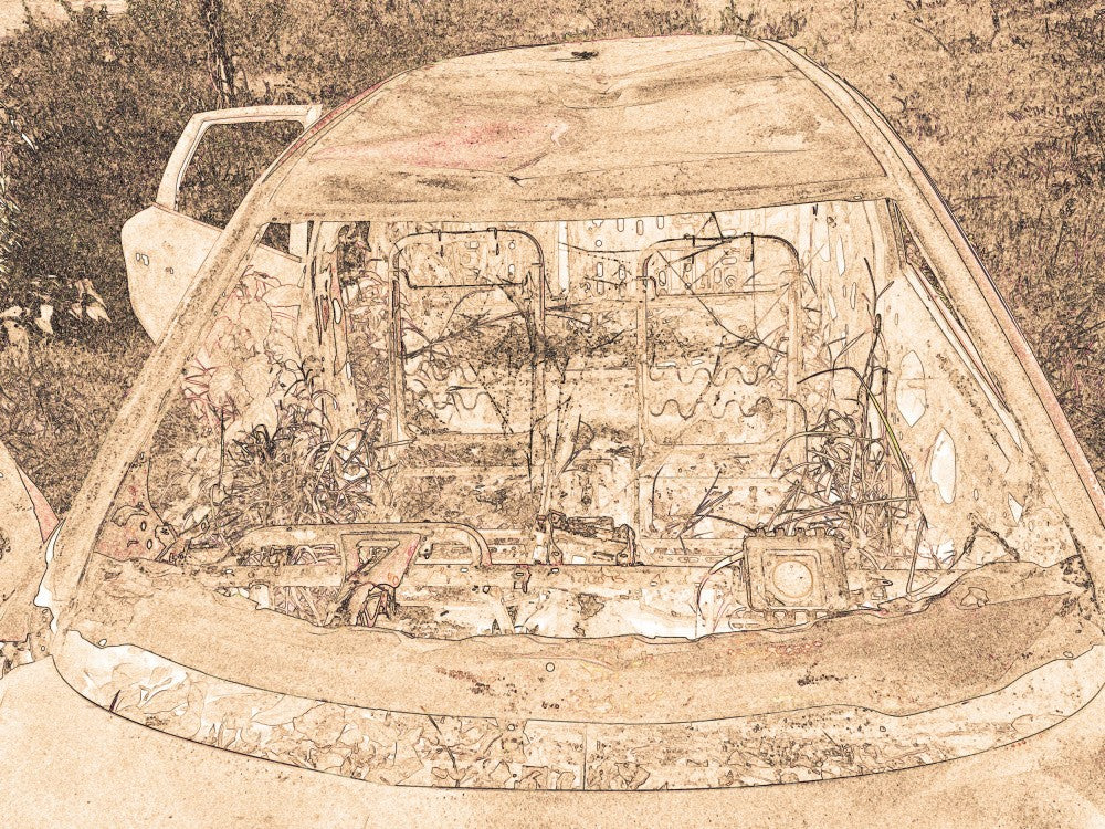Nature Reclaims 車