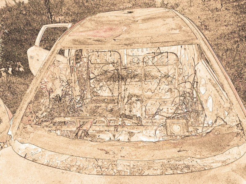 Nature Reclaims 車