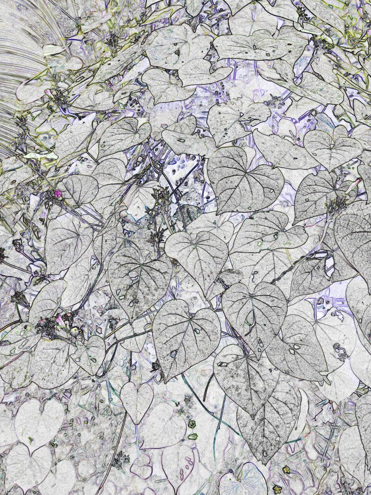 Veined Foliage Dream