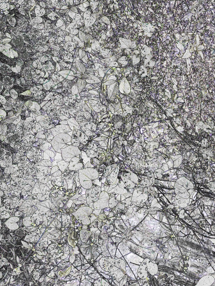 Monochrome Foliage