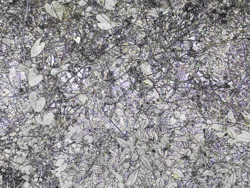 Nature's Tapestry