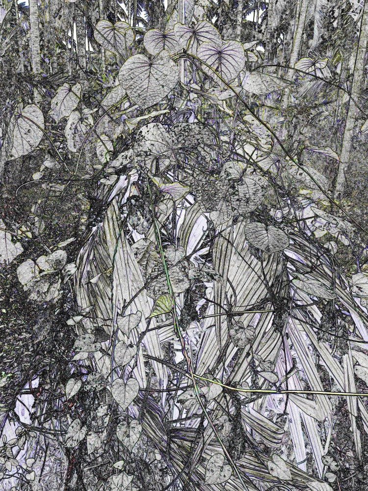 Entwined Foliage