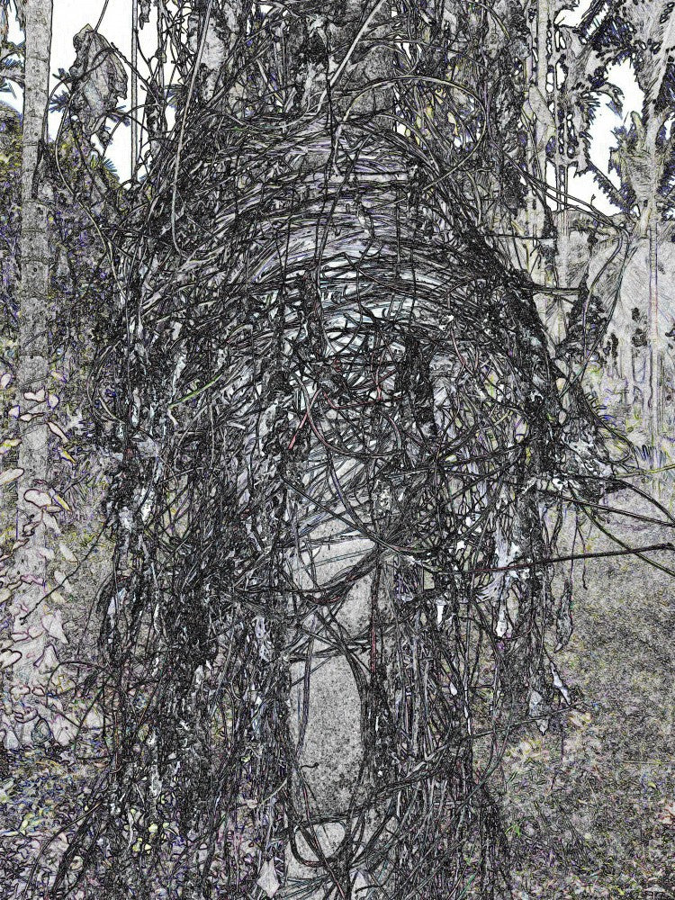 Tangled Enigma