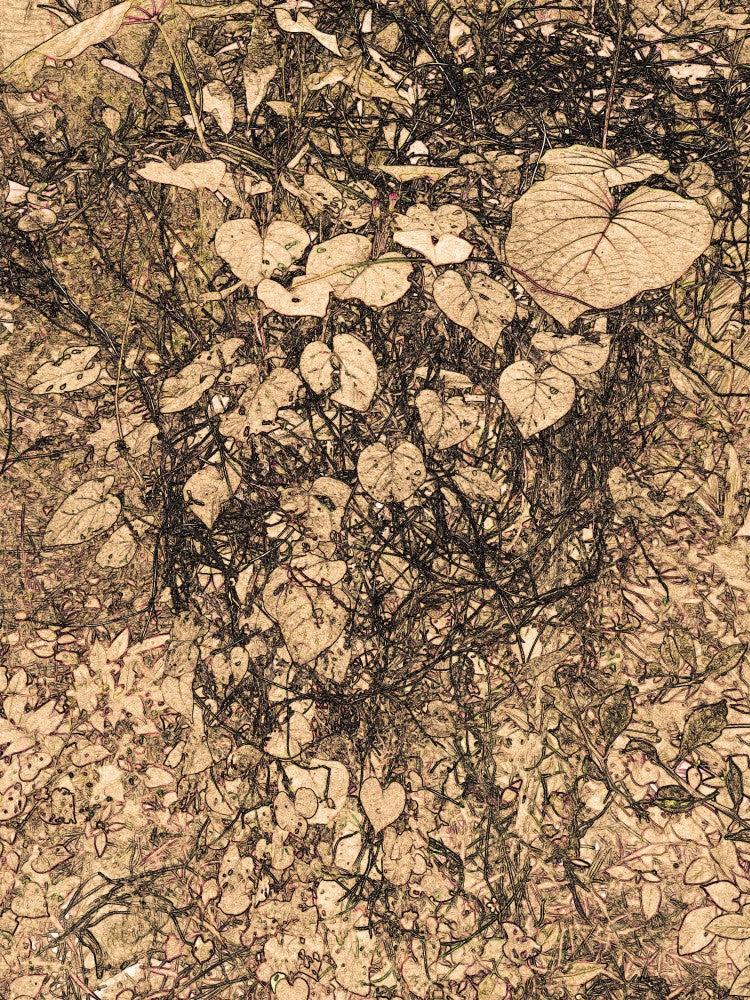 Leafy Intricacy