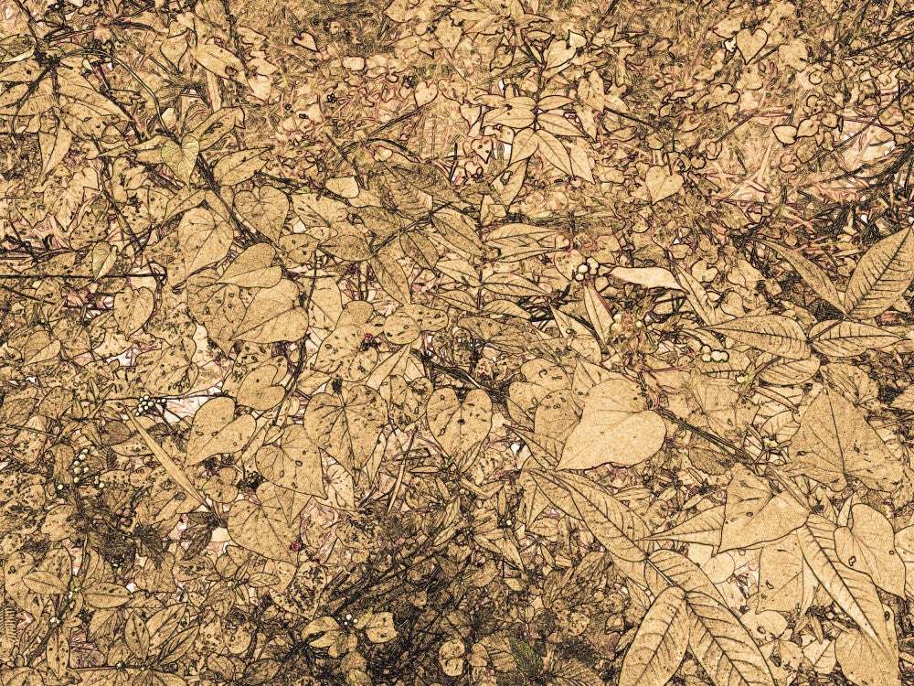 Golden Foliage Puzzle