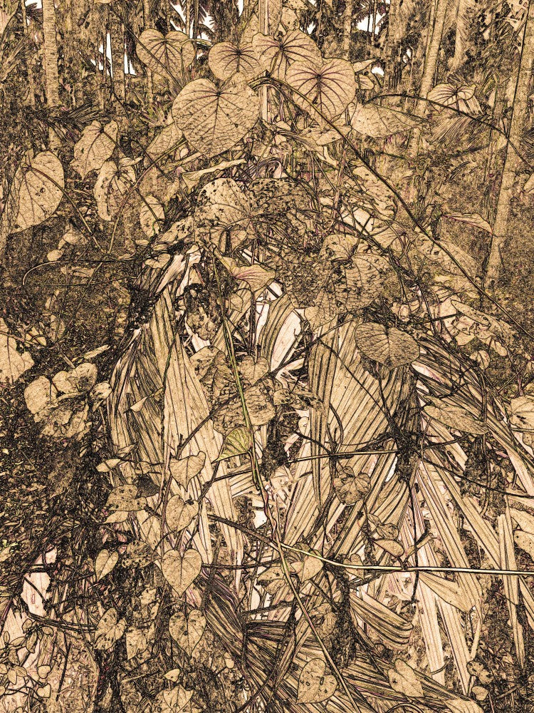 Nature's Tangle