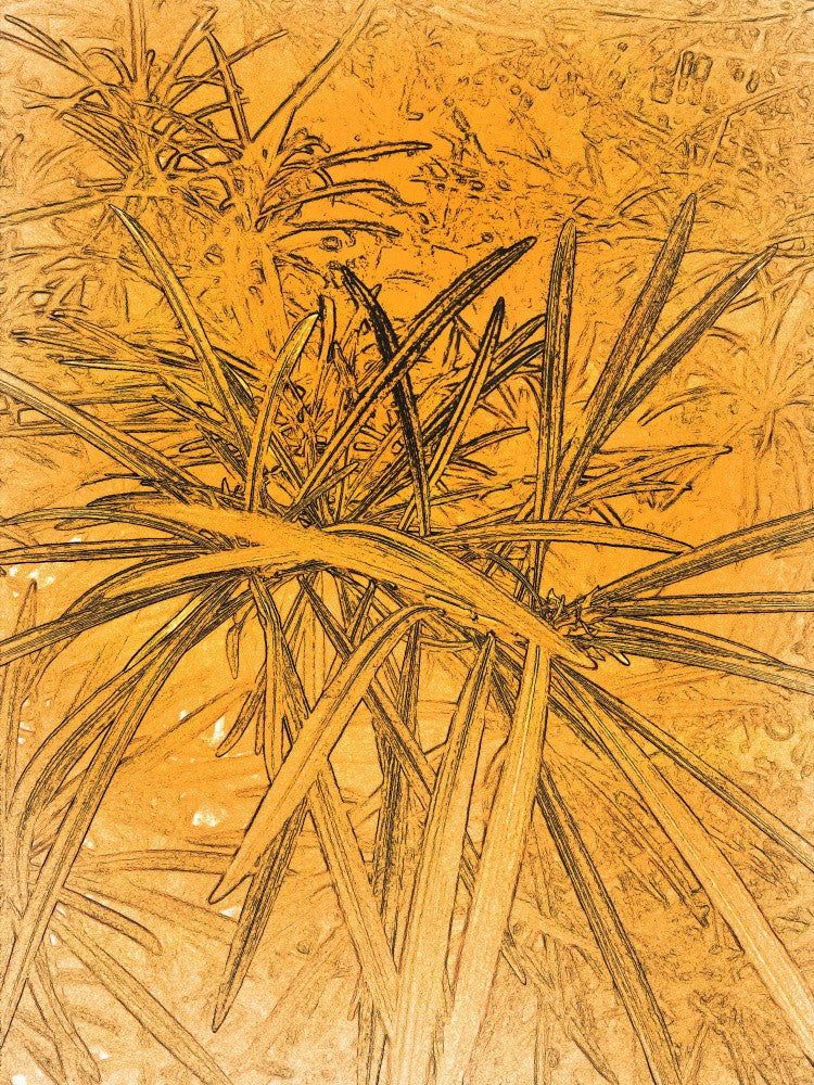 Golden Botanical Sketch