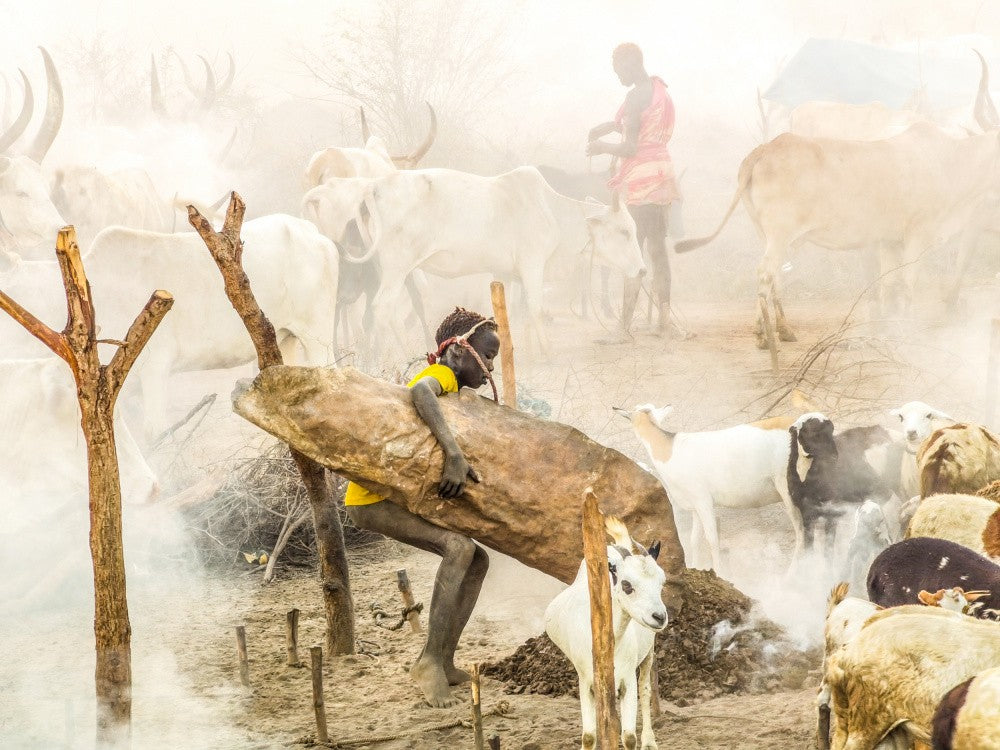 Boy with Mundari's animals