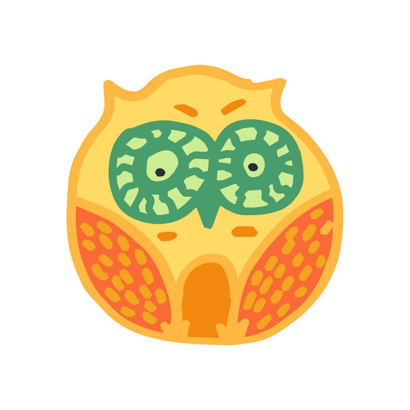 Owls Cartoon