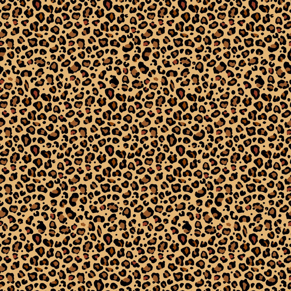 Leopard Dreams
