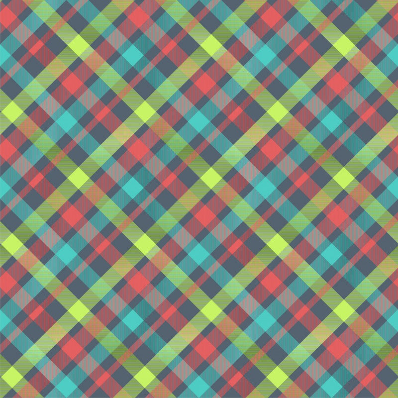 Vibrant Plaid Tapestry