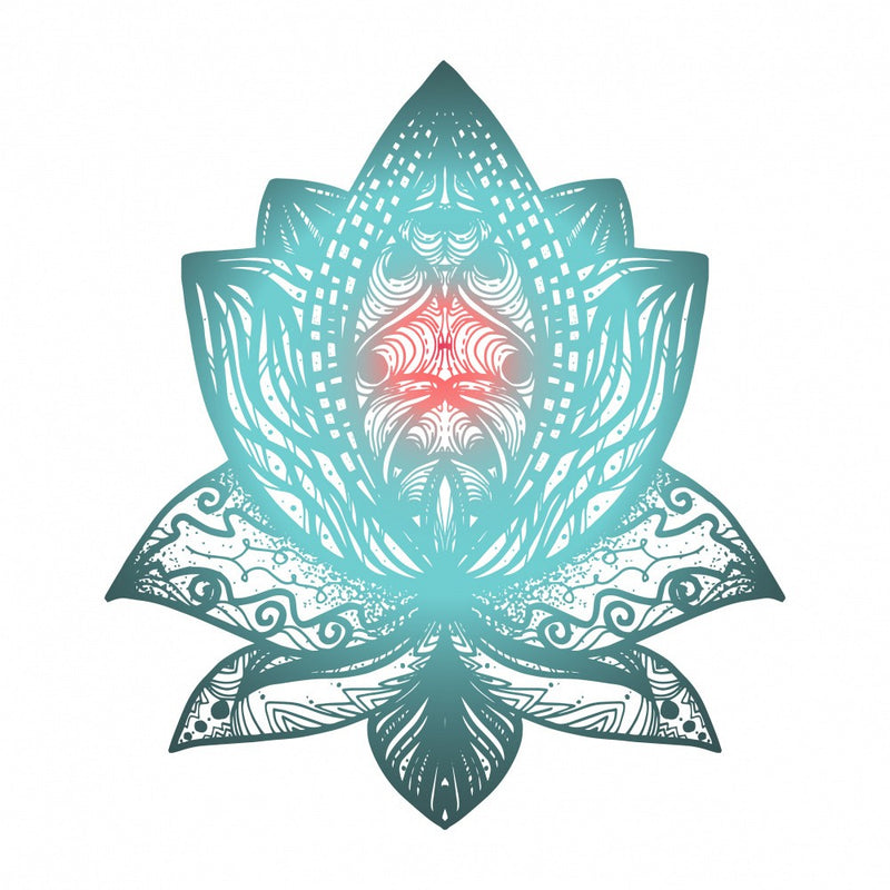 Enlightened Bloom