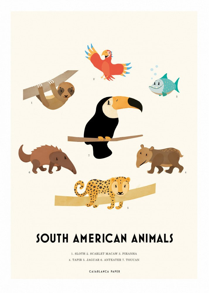 South American Animals